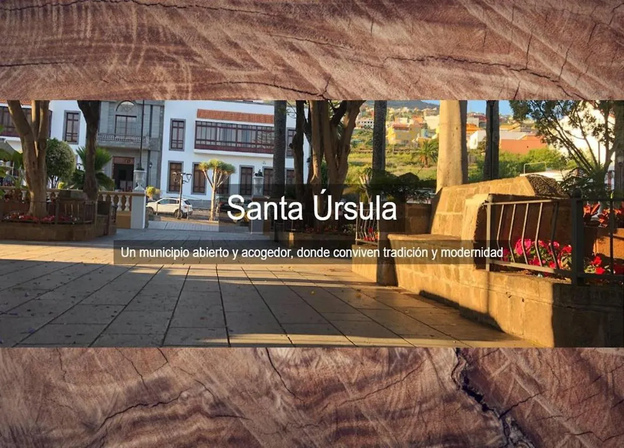 Canarian House Antigua Escuela Apartment Santa Ursula